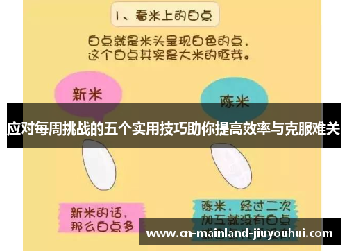 应对每周挑战的五个实用技巧助你提高效率与克服难关