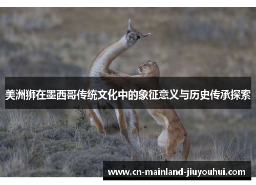 美洲狮在墨西哥传统文化中的象征意义与历史传承探索