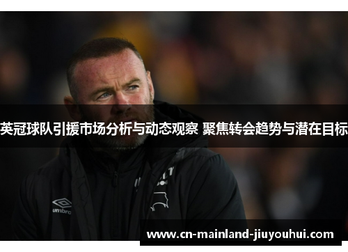 英冠球队引援市场分析与动态观察 聚焦转会趋势与潜在目标