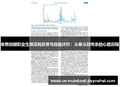 老詹回顾职业生涯深刻反思与自我评价：从奋斗到传承的心路历程