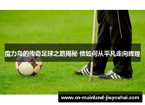 魔力鸟的传奇足球之路揭秘 他如何从平凡走向辉煌 魔力鸟的传奇足球之路揭秘 他如何从平凡走向辉煌