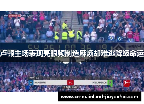 卢顿主场表现亮眼频制造麻烦却难逃降级命运
