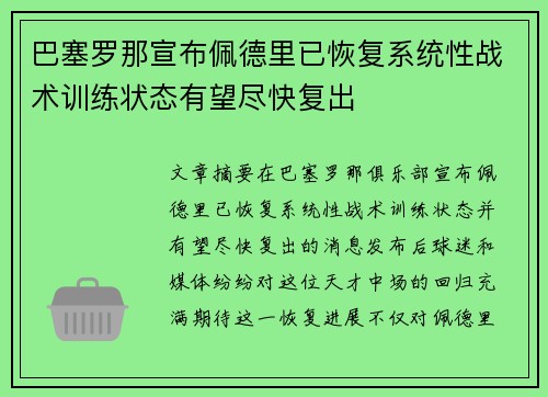 巴塞罗那宣布佩德里已恢复系统性战术训练状态有望尽快复出