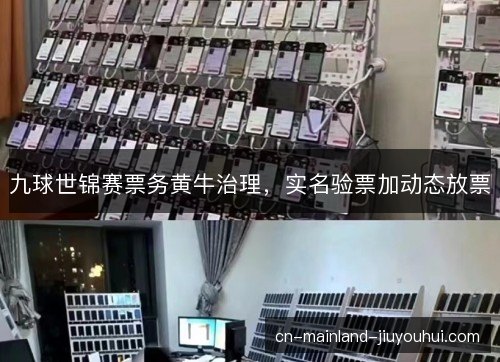 九球世锦赛票务黄牛治理，实名验票加动态放票